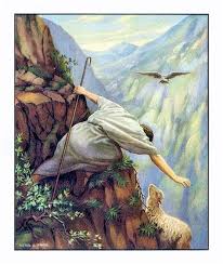 lostsheep